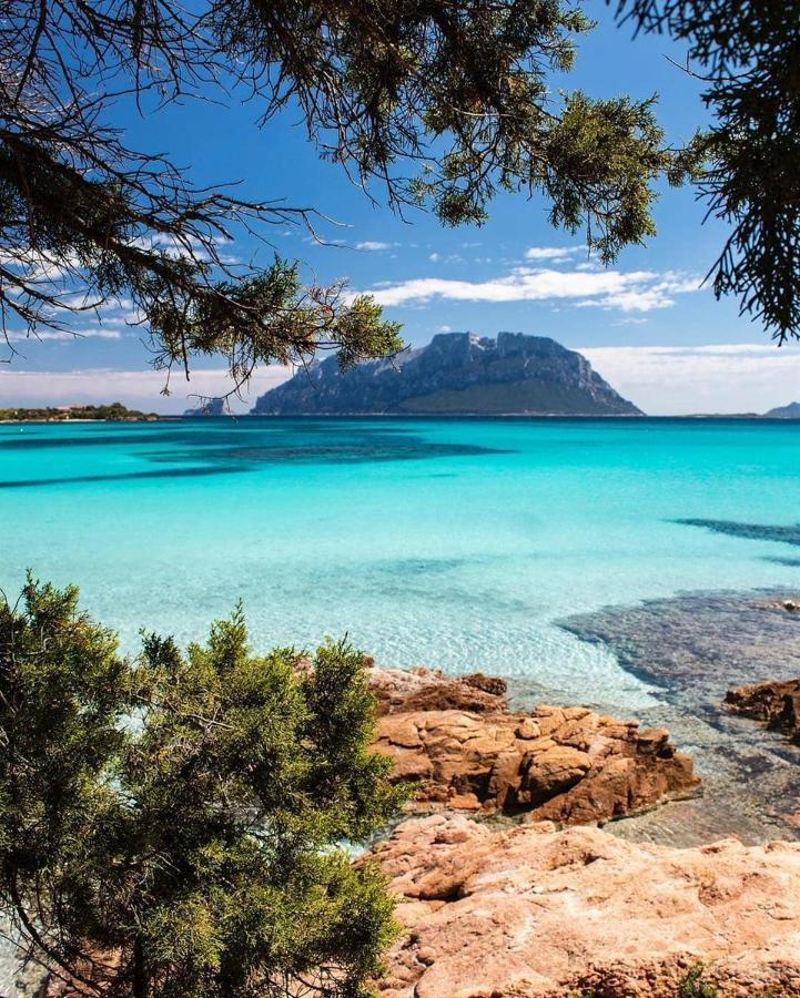 Porto Istana Beach House Olbia Eksteriør billede